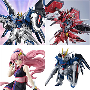 Gundam Universe 6 Inch Action Figure Robot Spirits - Strike Freedom Gu
